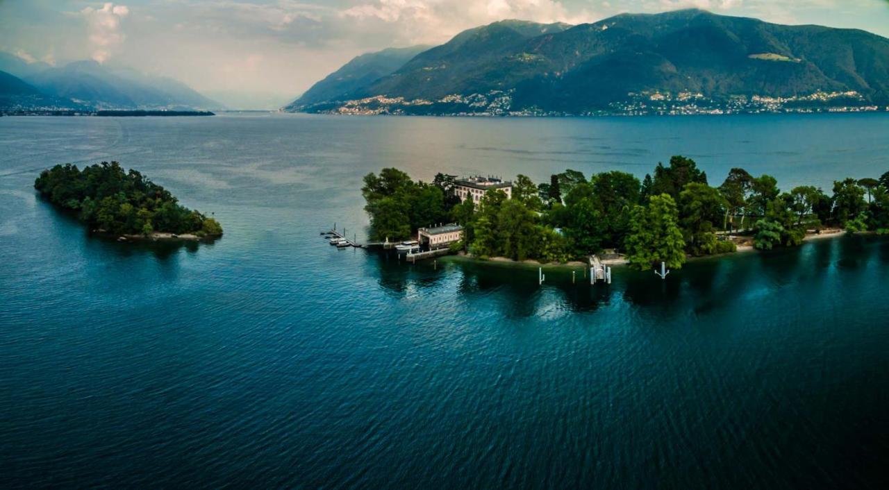 Ramarro Ronco sopra Ascona