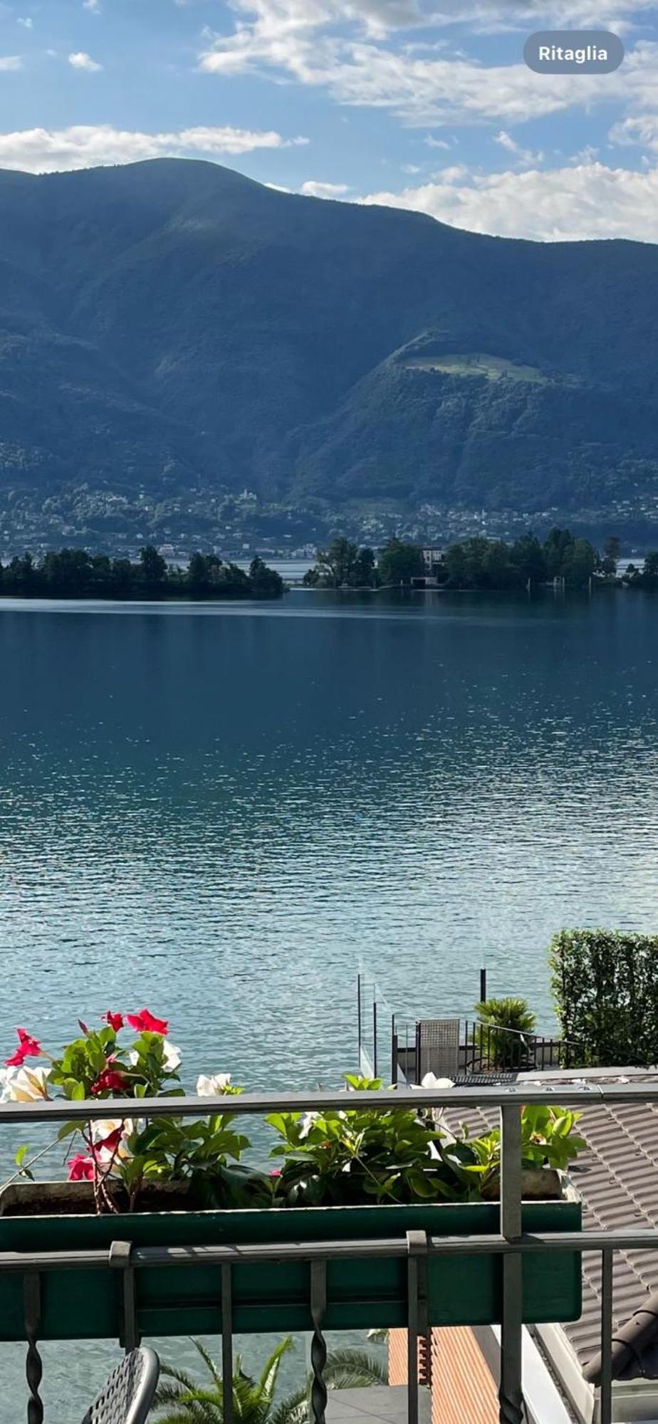 Ramarro Ronco sopra Ascona